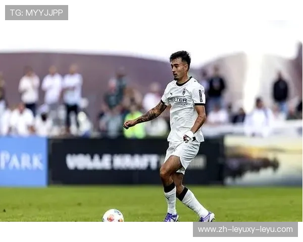 韩国新星效力的德甲球队资料介绍